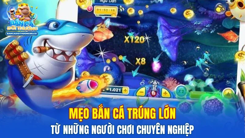 Mẹo bắn cá trúng lớn từ những người chơi chuyên nghiệp