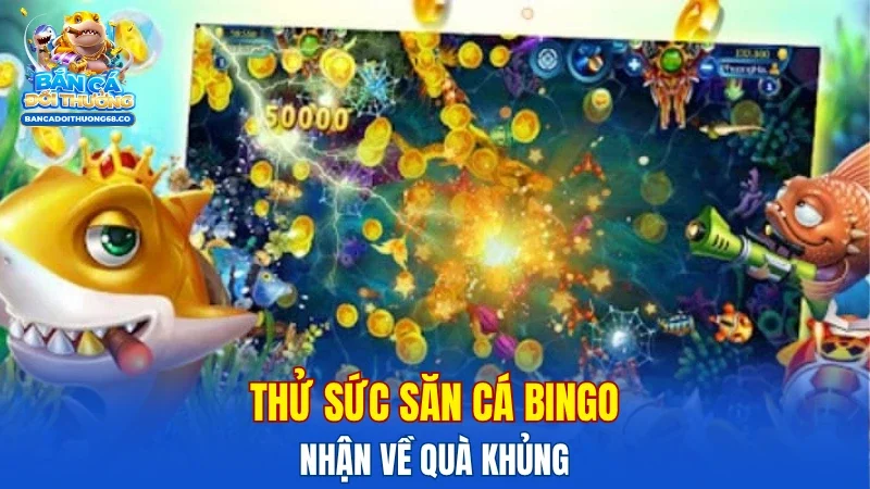 Thử sức săn cá Bingo nhận về quà khủng