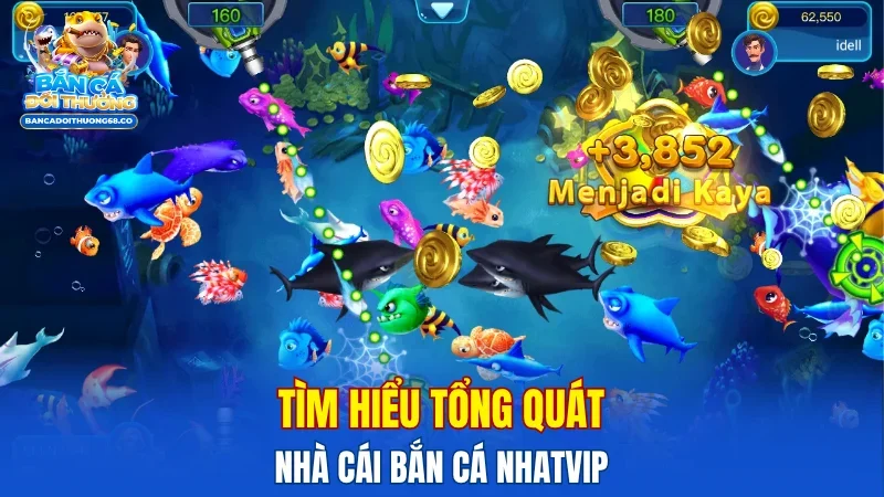 Tìm hiểu tổng quát nhà cái bắn cá NHATVIP
